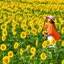 교동면 난정저수지 이미지