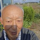 김문수편＜탄핵정국끝내고＞ 이미지