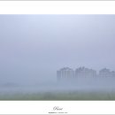 도시의 아침 이미지