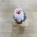 스윗로즈 잠실