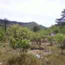 여주-0096 이미지