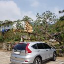 가창 송하 이미지