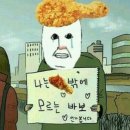 강릉애견하우스
