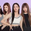 꼬마농축산 이미지