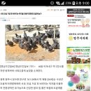 금란공방