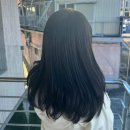 다운& | 방림동 미용실 아리뷔에 토프브라운 톤다운 염색 후기