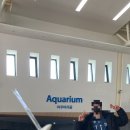 아롬타롬 이미지