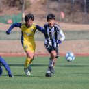 강구중학교 이미지