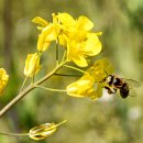 황산공원(황산B) 이미지