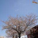 아프리카박물관 이미지