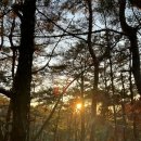 불광사입구 공중화장실 이미지