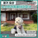 여기엇댕 이미지