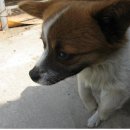 지성축산2 이미지