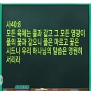 QT 교훈주의적 해석 마가복음1장 이미지