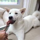 댕쓰마켓 이미지