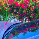 새하양세탁소 이미지