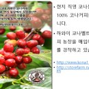 체리코나