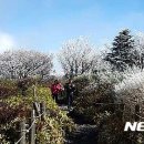 한라산 플러스 이미지