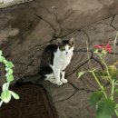 홍성수 | 사랑이란 우리의 마음에서 지각되는 공간과 시간이다