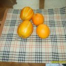 송이경로당 이미지