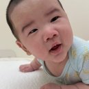 (주)파닥파닥 | 24주 차 | 배밀이 성공 / 퀸스메디 2차 영유아검진 후기 / 이유식 시작