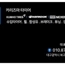 카리즈마타이어 이미지