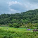 능주파크골프장 이미지