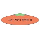 [공지] Wedding | 대전 팔레드 오페라 계약 상세한 후기 🦢