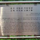 지당리 석불입상 이미지