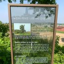 신근마을 이미지