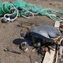 푸른바다 이미지