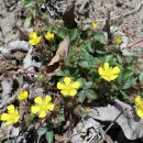 프롭테라피&밴드운동 이미지