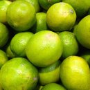 라임 이미지