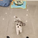 소사미용실 이미지