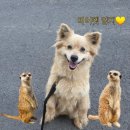 양지양만 Daum카페