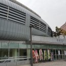 더월드체육관 이미지