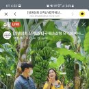 산청상회
