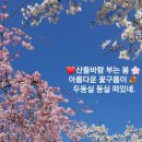 꽃향기세상