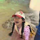 석포초등학교 | [대연동태권도 / 석포태권도] 아이들과 특별한 하루, 이번엔 클럽디오아시스에 다녀왔습니다!!