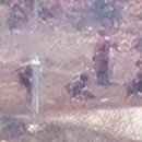 북한, 국경선 작업에 일평균 7000명 동원… MDL 침범 지뢰지대도 평균 20m 이미지