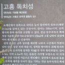 1025 천등산과 금탑사 이미지