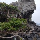 미라4길 이미지