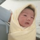 베스트약국 | [수원 산부인과] 베스트 산부인과 5주~38주 4일까지 출산기록 (제왕절개 vs 자연분만)