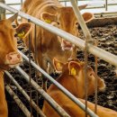 여양농장 이미지