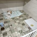 마오네 문덕점 이미지