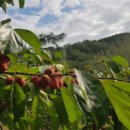 복골농장 이미지