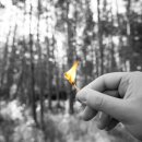 강화군산림조합 이미지