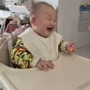 31140-6-74-11 | 던스스웨덴 아기옷 입문 후기 •25 겨울 fw 아기옷...하트•배기셋•랩넥•집업•6개월아기옷•7...