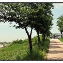 경기둘레길 안성43코스 이미지