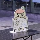 11620-5-4-3 | 제가 두 눈으로 쿱스 애교를 똑똑히 봤슈 (CXM 5, 4, 3 음중 후기)